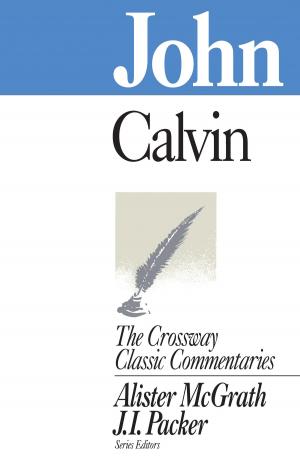 Cover of the book John by Bryan M. Litfin