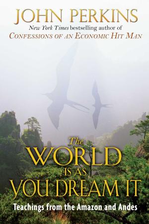 Book cover of The World Is As You Dream It