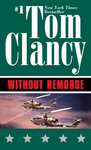 Cover of the book Without Remorse by Anthony J. Cichoke