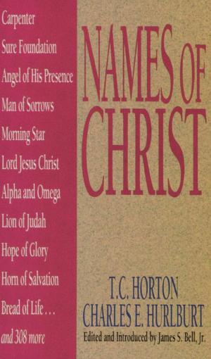 Cover of the book Names Of Christ by Joy McClain