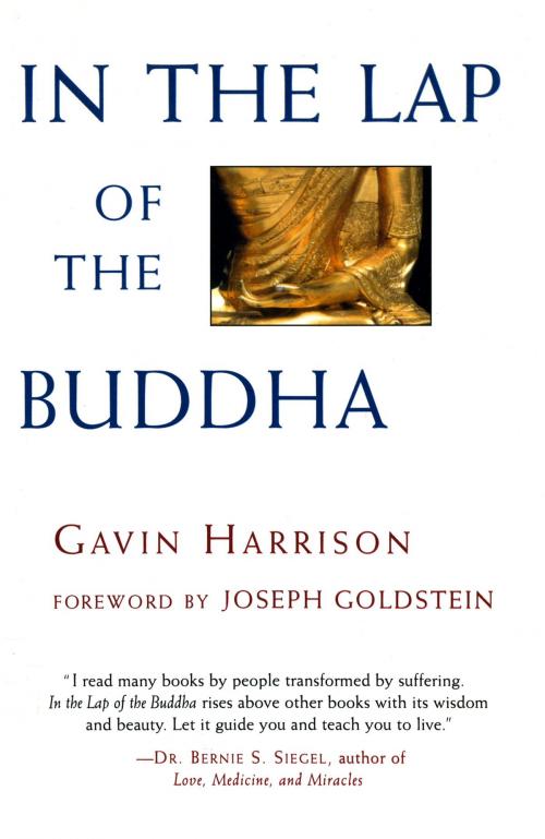 Cover of the book In the Lap of the Buddha by Gavin Harrison, Shambhala