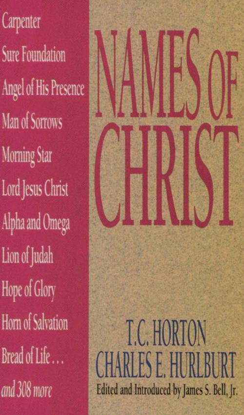 Cover of the book Names Of Christ by T. C. Horton, Charles E. Hurlburt, Moody Publishers