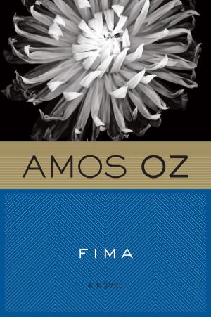 Cover of the book Fima by Ann Rinaldi