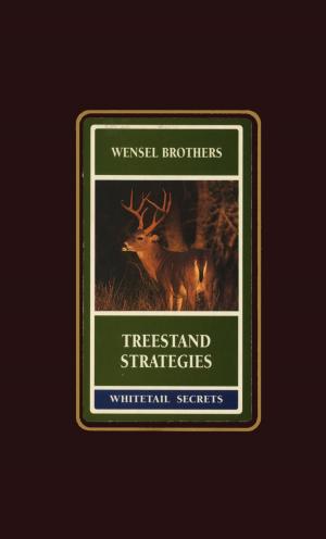 Cover of the book Treestand Strategies by James Merritt