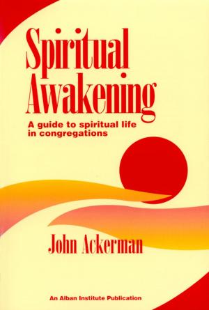 Cover of the book Spiritual Awakening by Timothy O. Olaniran