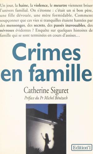 Cover of the book Crimes en famille by Michel Brice