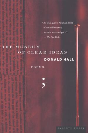 Cover of the book The Museum of Clear Ideas by Jill Bialosky