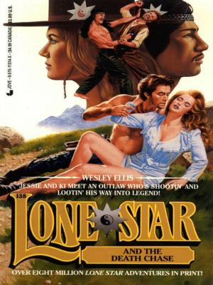 Cover of the book Lone Star 138/death by Paul Goldstein