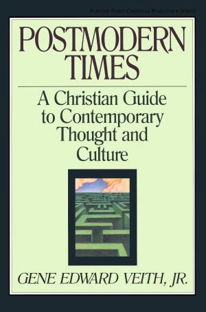 Cover of the book Postmodern Times by John Piper