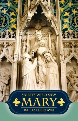 Cover of the book Saints Who Saw Mary by Rev. Fr. Ignatius of the Side of Jesus Passionist Carsidoni