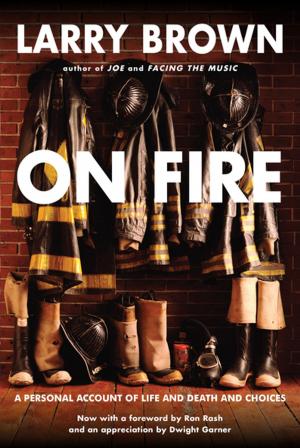 Cover of the book On Fire by Ilene Beckerman