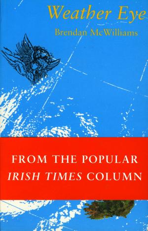 Cover of the book Weather Eye by J.P. Donleavy