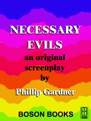 Book cover of Necessary Evils: An Original Screenplay