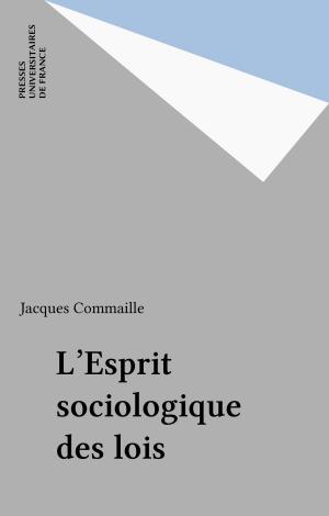 Cover of L'Esprit sociologique des lois