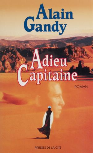 Cover of the book Adieu capitaine by Alain Gandy