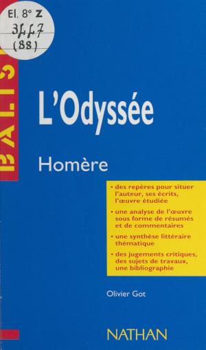 Cover of the book L'Odyssée by Dominique Agostini, Hervé Benhamou, Brigitte Bouquet
