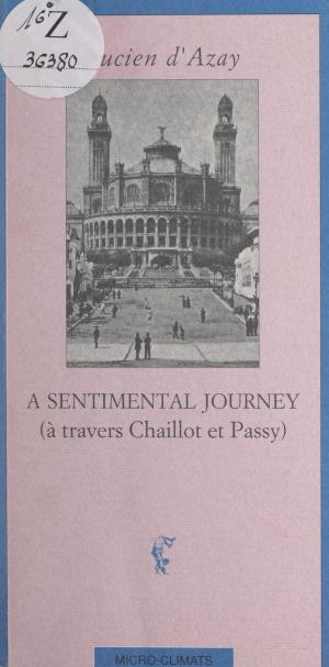Cover of the book A sentimental journey by Claude Pujade-Renaud, Daniel Zimmermann
