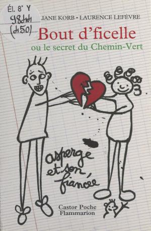 Cover of the book Bout d'ficelle by Dominique Fernandez
