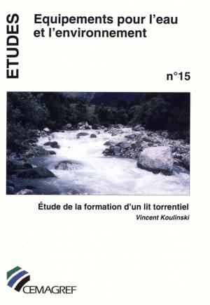 Cover of the book Étude de la formation d'un lit torrentiel by Bernard Montuelle