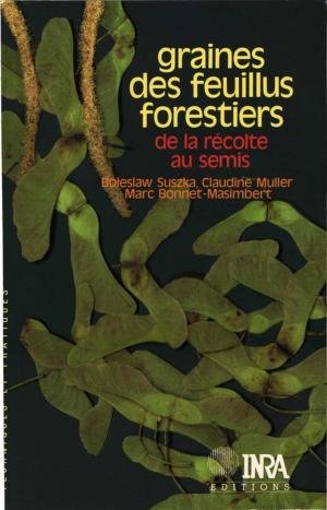 Book cover of Graines des feuillus forestiers : de la récolte au semis