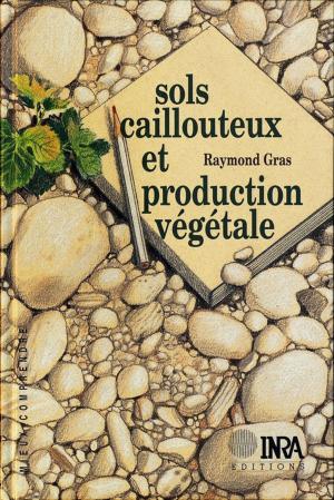 Cover of the book Sols caillouteux et production végétale by Expertise Scientifique Collective
