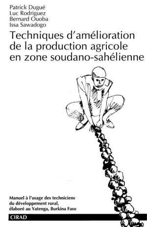 Cover of the book Techniques d'amélioration de la production agricole en zone soudano-sahélienne by Jacques Lavabre, Claude Martin