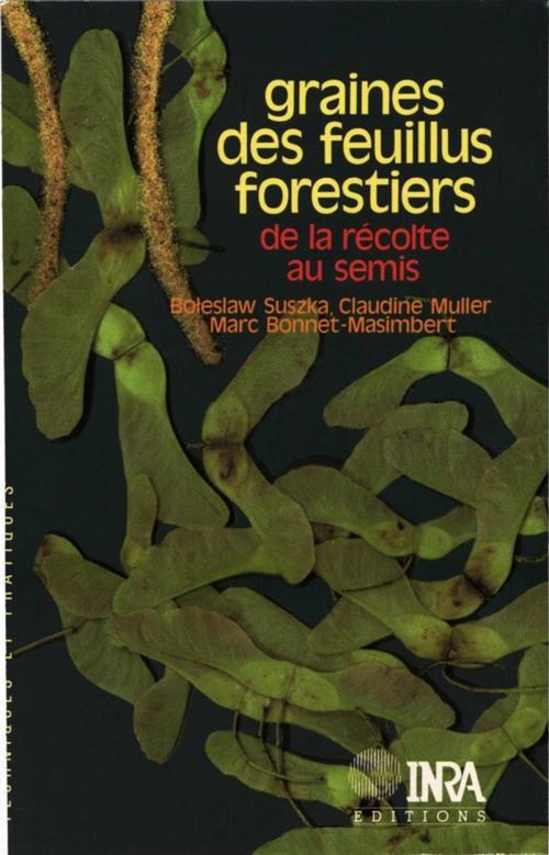 Cover of the book Graines des feuillus forestiers : de la récolte au semis by Boleslan Suszka, Claudine Muller, Marc Bonnet-Masimbert, Quae