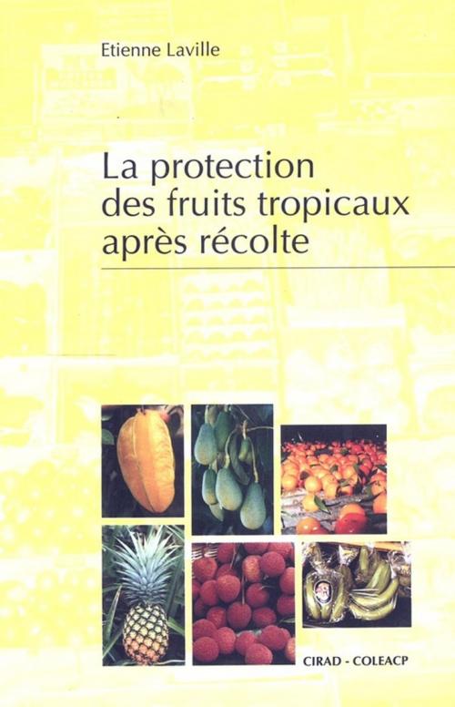 Cover of the book La protection des fruits tropicaux après récolte by Etienne Laville, Quae