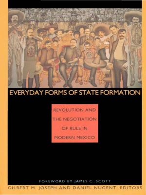 Cover of the book Everyday Forms of State Formation by Arturo Escobar, Dianne Rocheleau