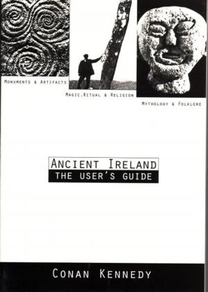 Cover of the book Ancient Ireland - The Users' Guide by Conan Kennedy
