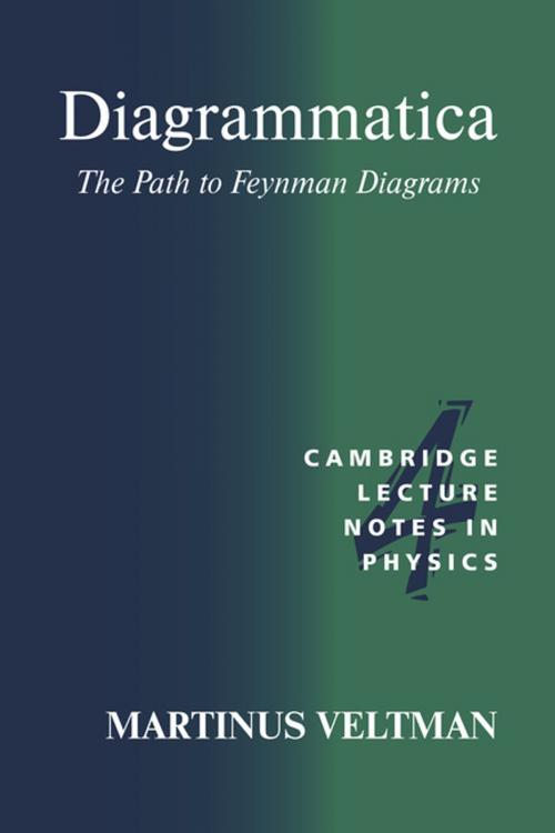 Cover of the book Diagrammatica by Martinus Veltman, Cambridge University Press