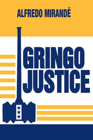 Cover of the book Gringo Justice by Richard Barlow