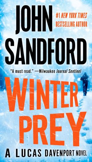 Cover of the book Winter Prey by Rose Sandy