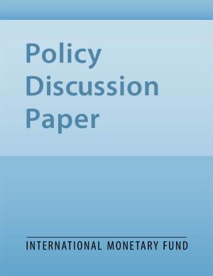 Cover of the book The United States-Japan Current Account Imbalance: A Review by International Monetary Fund