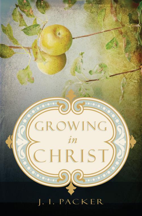 Cover of the book Growing in Christ by J. I. Packer, Crossway