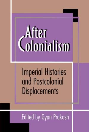 Cover of the book After Colonialism by Cindy Skach