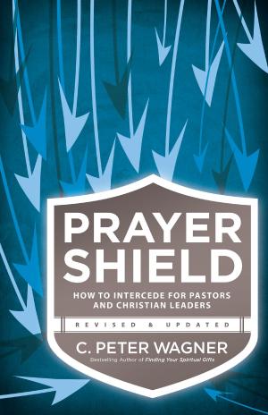 Cover of the book Prayer Shield by J. Scott Duvall, Mark Strauss, John Walton