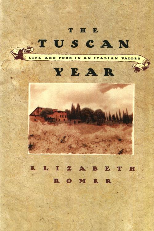 Cover of the book The Tuscan Year by Elizabeth Romer, Farrar, Straus and Giroux