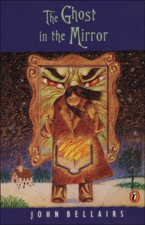Cover of the book The Ghost in the Mirror by Jacqueline West