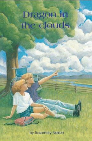 Cover of the book Dragon in the Clouds by Adira Rotstein