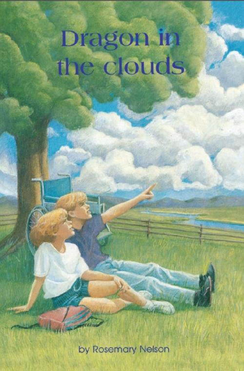 Cover of the book Dragon in the Clouds by Rosemary Nelson, Dundurn