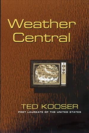 Cover of the book Weather Central by Aníbal Gonzalez