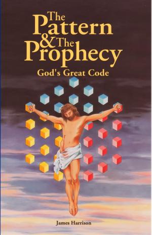 Book cover of The Pattern & The Prophecy
