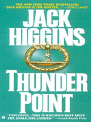 Cover of the book Thunder Point by Joseph Rousell
