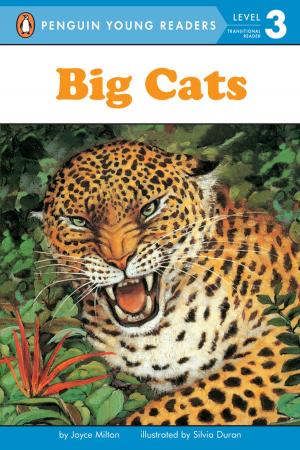 Cover of the book Big Cats by Roger Hargreaves