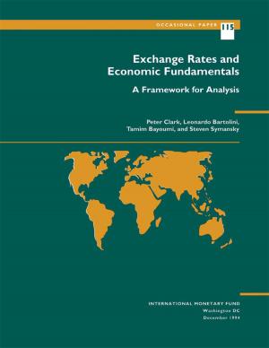 Book cover of Exchange Rates and Economic Fundamentals: A Framework for Analysis