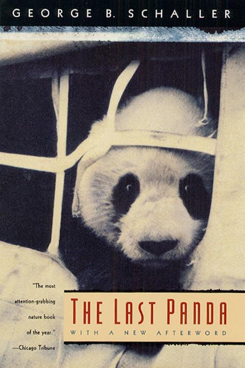Cover of the book The Last Panda by George B. Schaller, University of Chicago Press