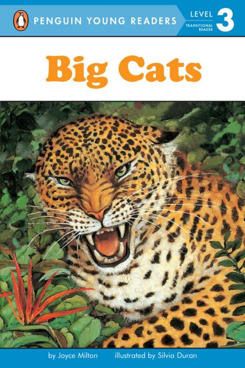 Cover of the book Big Cats by Joyce Milton, Penguin Young Readers Group