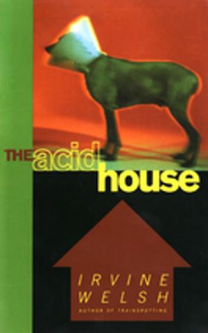 Cover of the book The Acid House by Deyan Sudjic