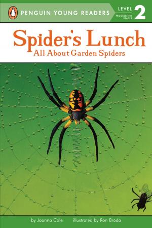 Cover of the book Spider's Lunch by Melissa Marr